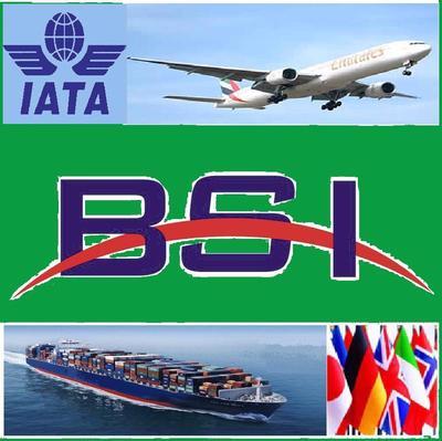 深圳市柏威國(guó)際貨運(yùn)代理：一站式國(guó)際物流解決方案